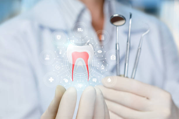 Trusted Daleville, AL Holistic Dental Care Services Experts